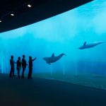 Acquario di Genova Convenzione 2025
